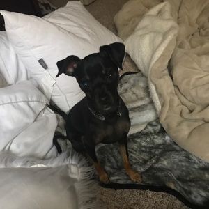 Meet your Posher, Ava